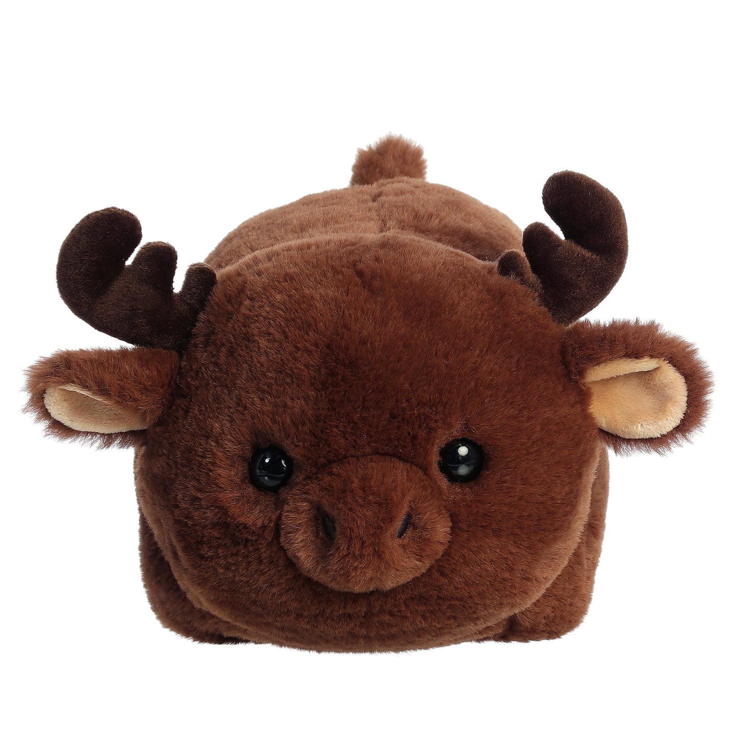 Morty Moose | Aurora Spudsters