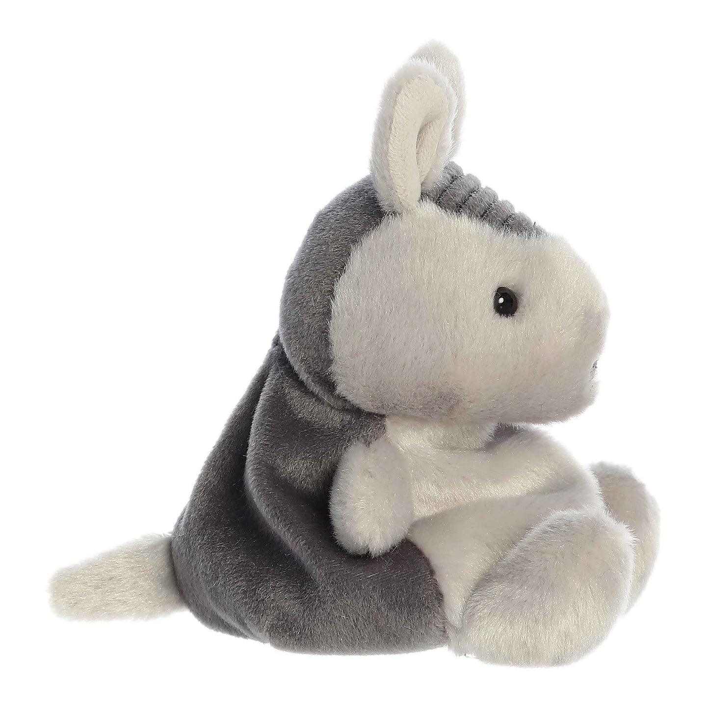 Antonia Armadillo | Aurora Palm Pals