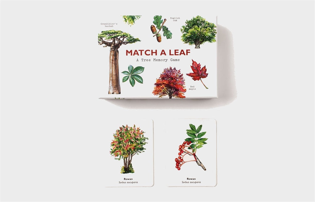 Match a Leaf: A Tree Memory Game