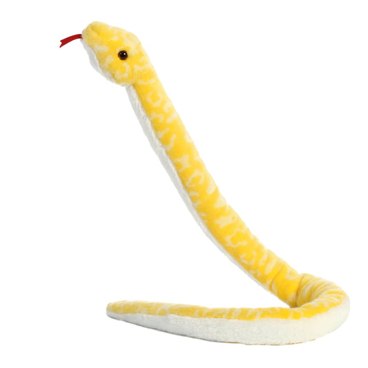 Albino Burmese Python | Aurora