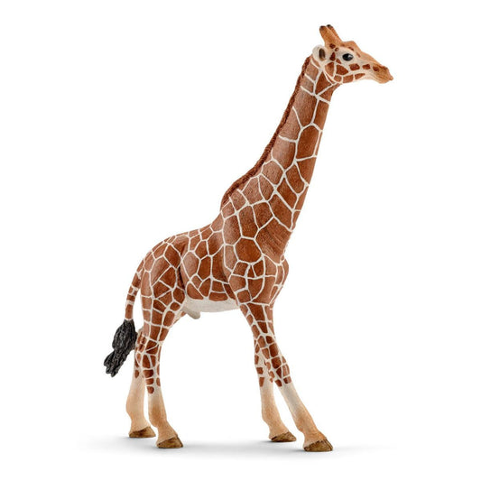 Schleich Giraffe, Male