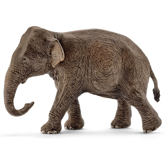 Schleich Asian Elephant, Female