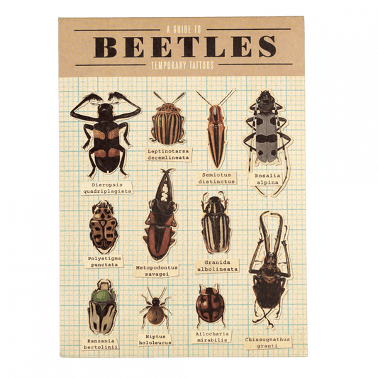 Temporary Tattoos | Beetles