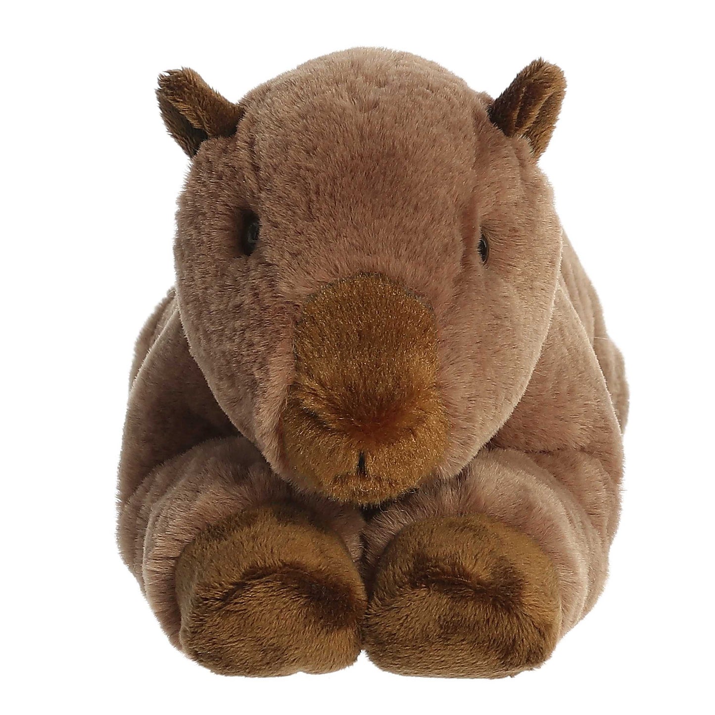 Capybara | Aurora Flopsie