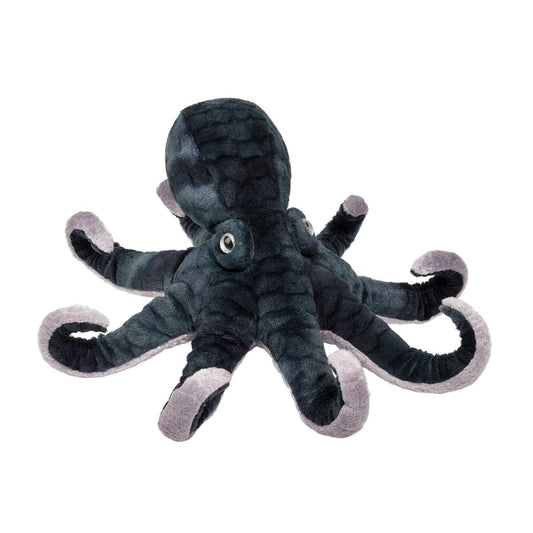 Winky Octopus | Douglas