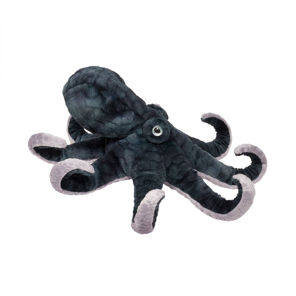 Winky Octopus | Douglas