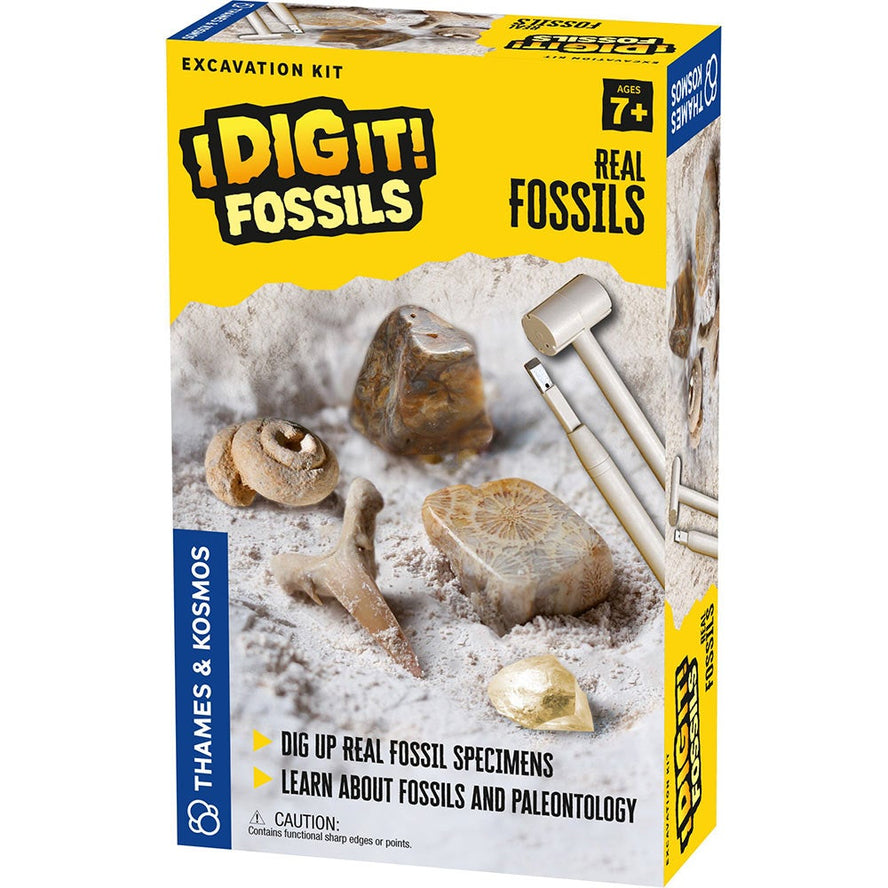 I Dig It! Fossils