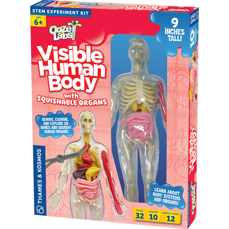 Ooze Labs: Visible Human Body