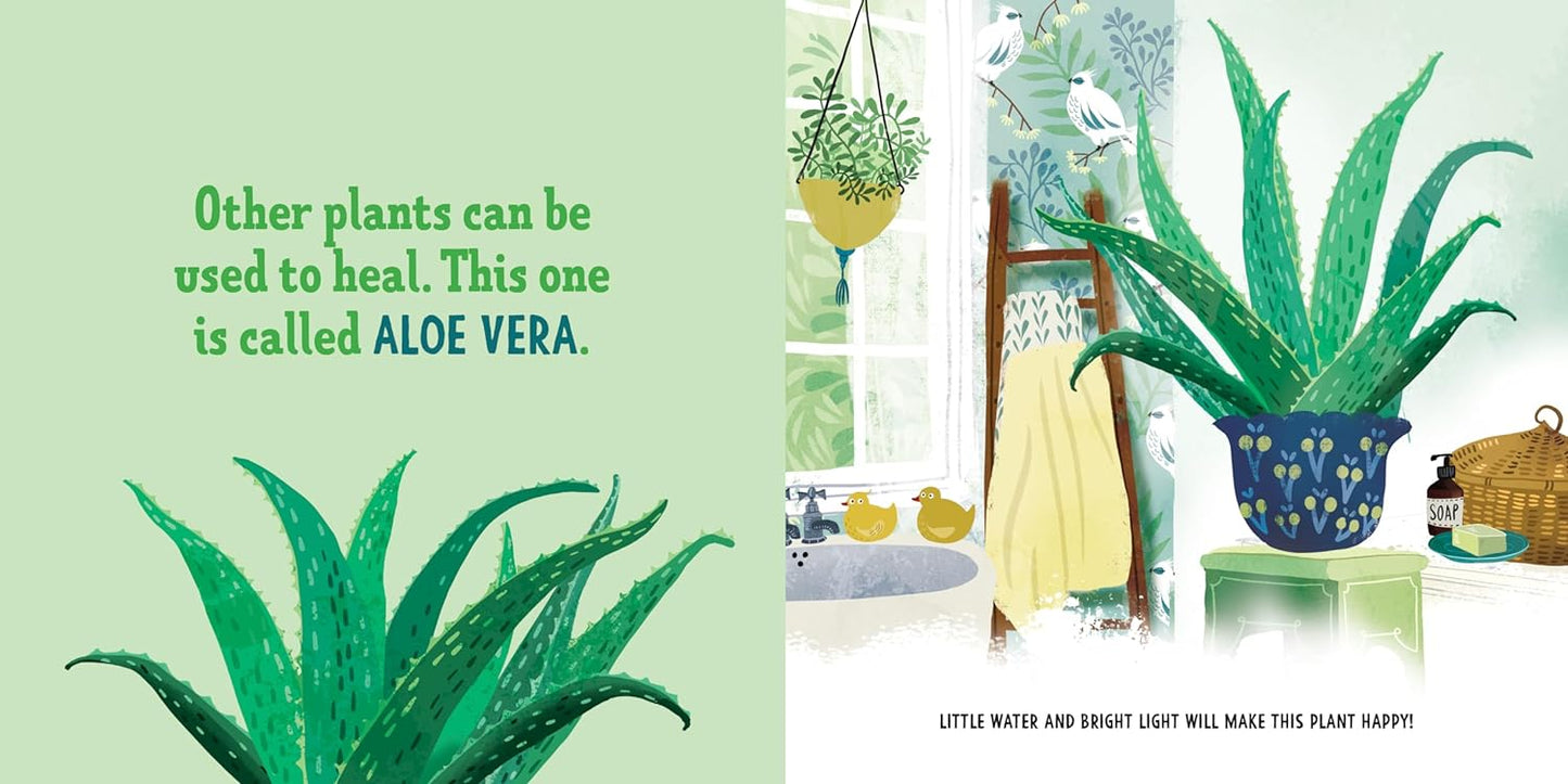 My First Book of House Plants | Board Book