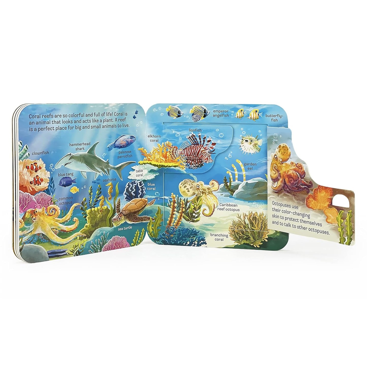 Peek a Flap Ocean Board Book