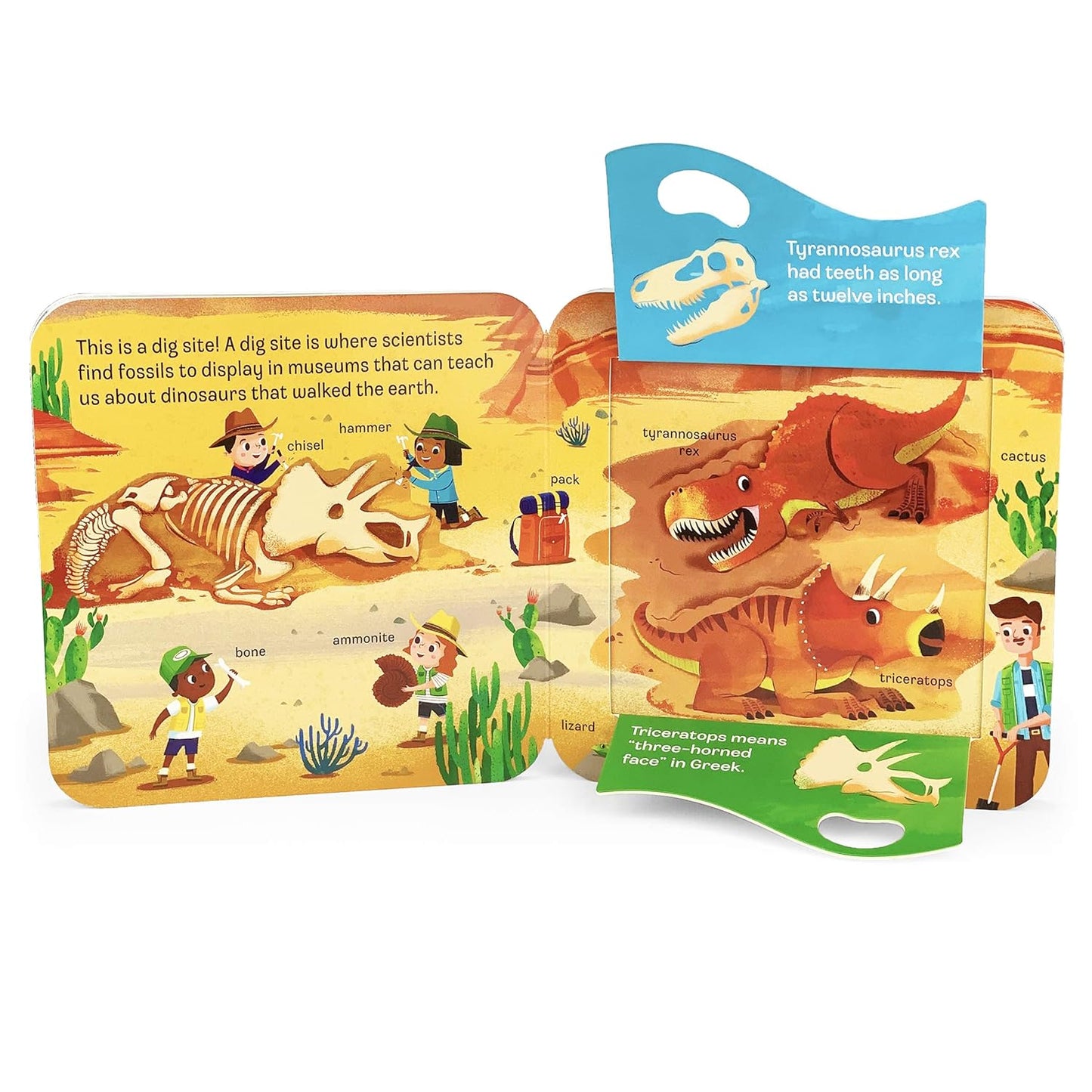 Peek a Flap Dino Board Book