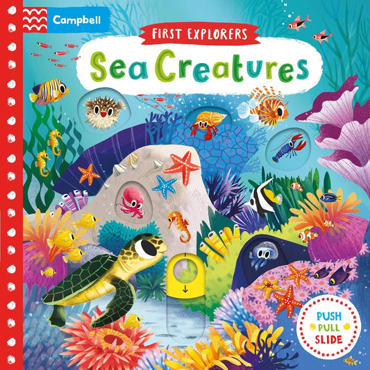 Sea Creatures | First Explorers