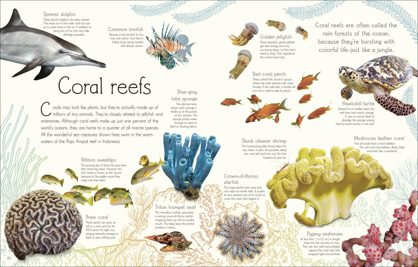 An Anthology of Aquatic Life