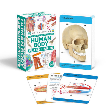 Human Body Flashcards | DK Smithsonian