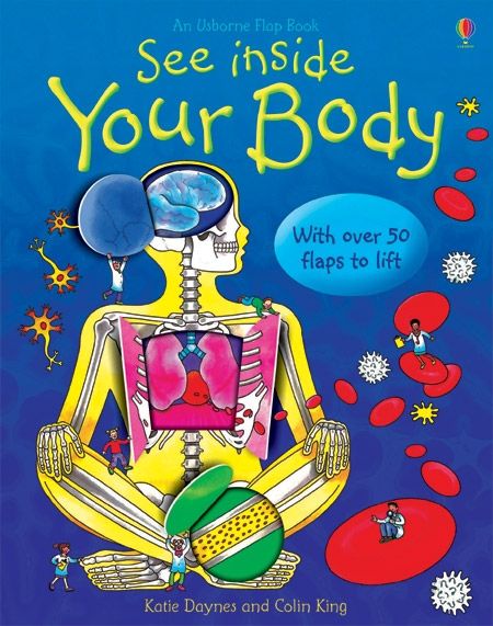 See Inside Your Body | Usborne Flap Book