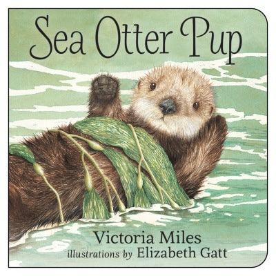 Sea Otter Pup | Board Book