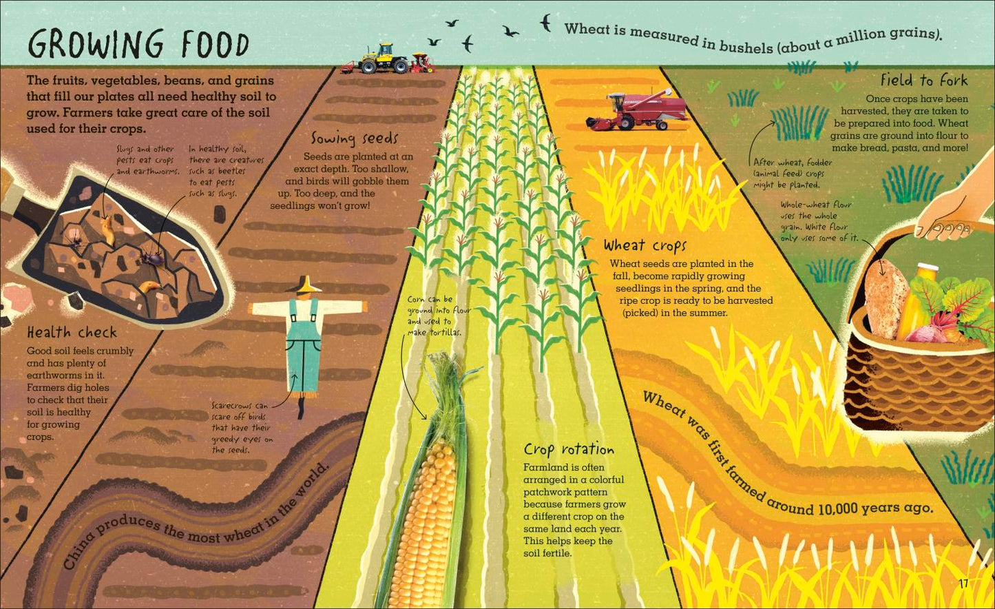 Under Your Feet: Soil, Sand, and Everything Underground