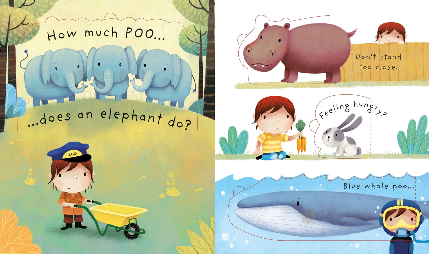 Where Do Animals Go In Winter? | Usborne Board Book