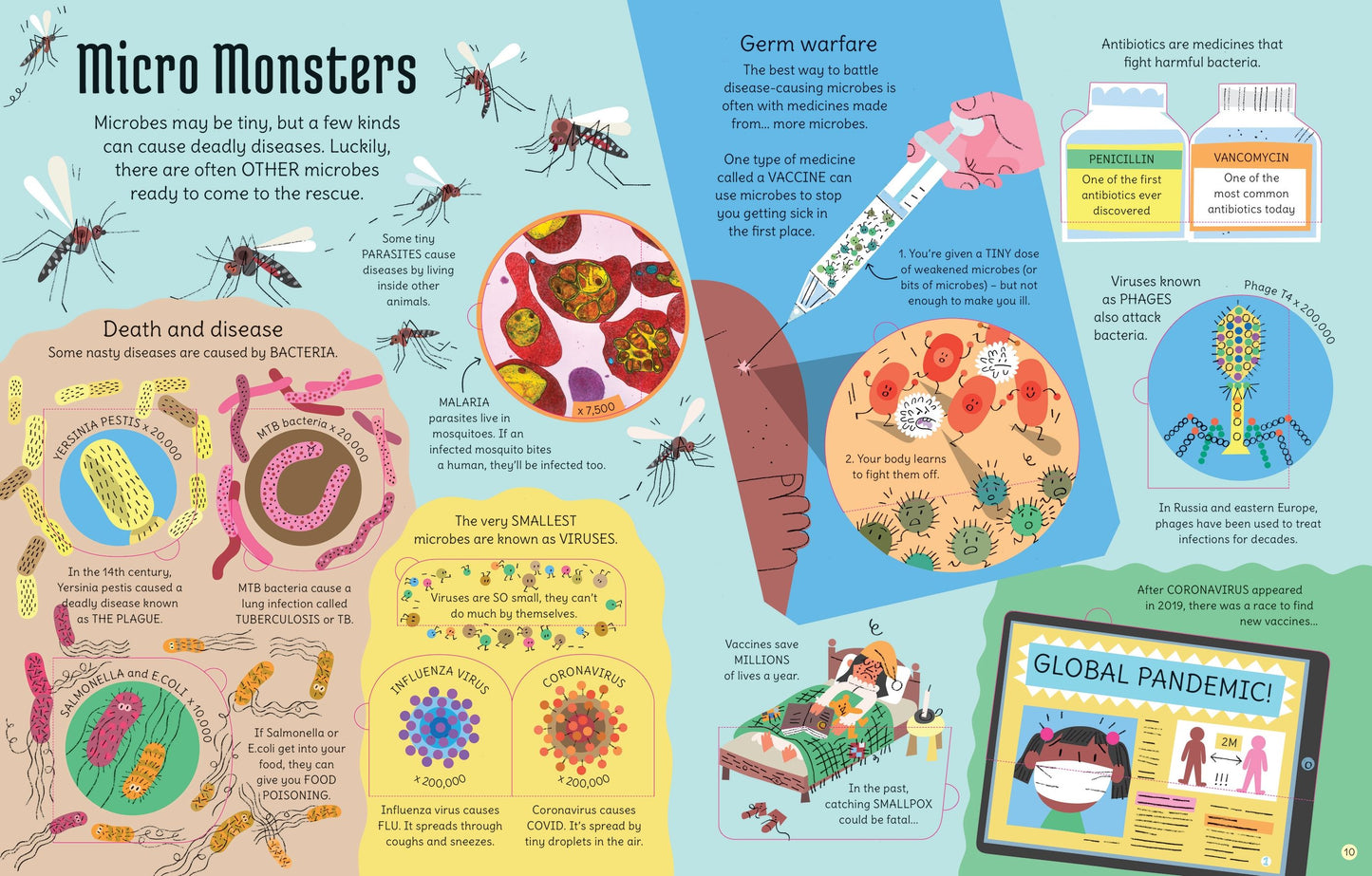 See Inside the Microscopic World | Usborne Flap Book