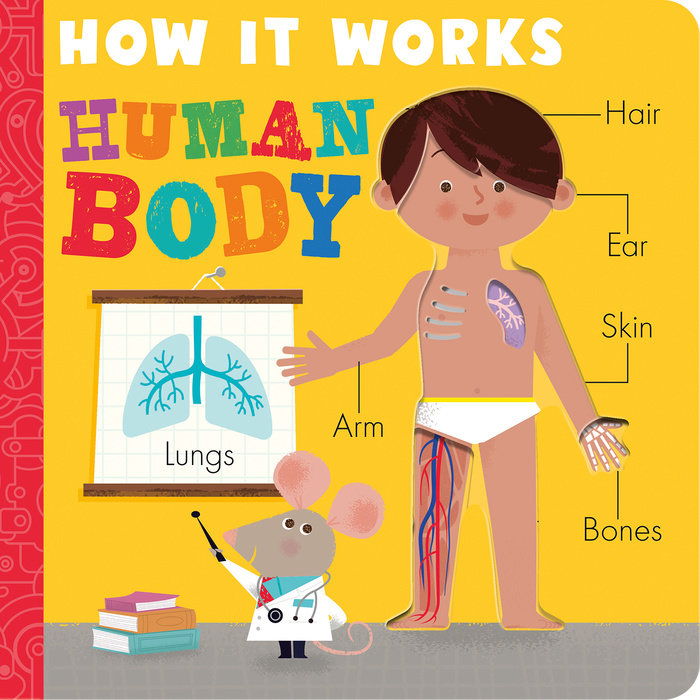 How it Works: Human Body Board Book