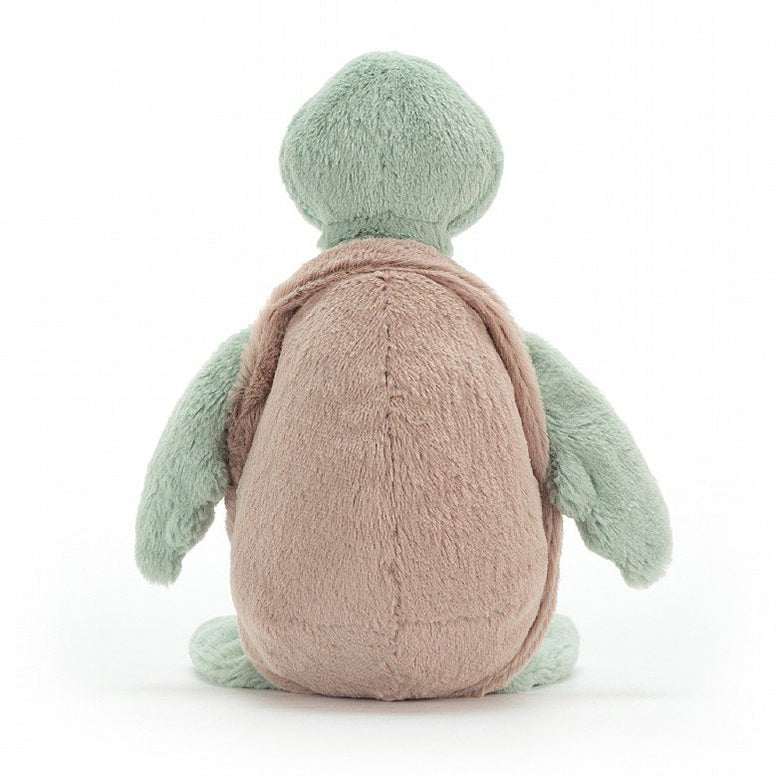 Bashful Turtle Small