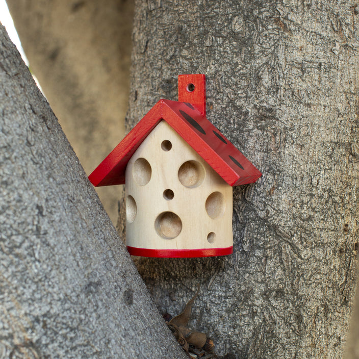 Ladybug House