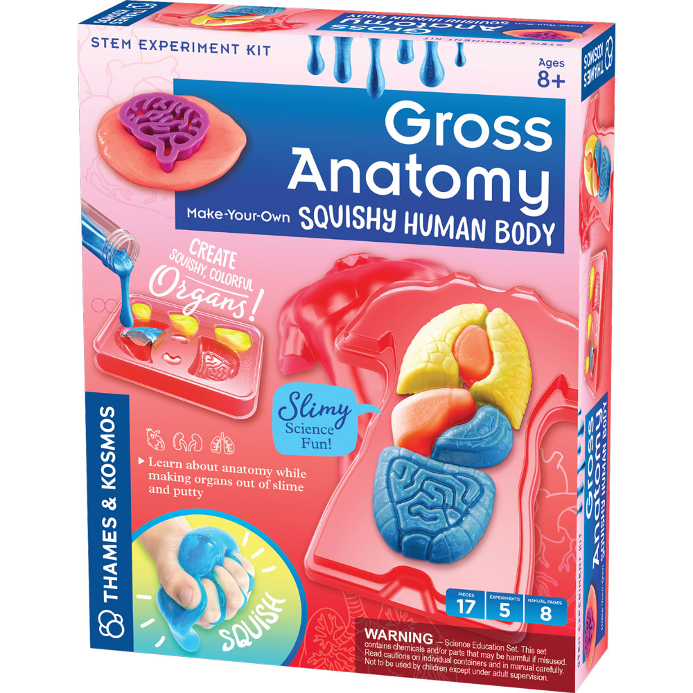 Gross Anatomy | Squishy Human Body