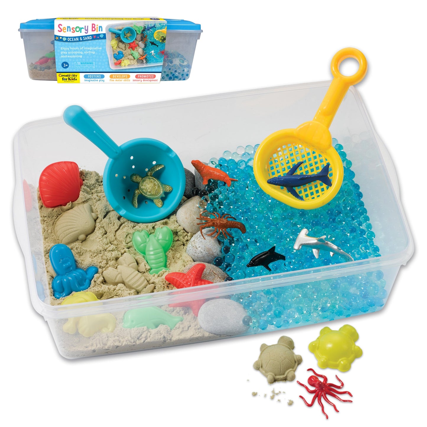 Sensory Bin | Ocean & Sand