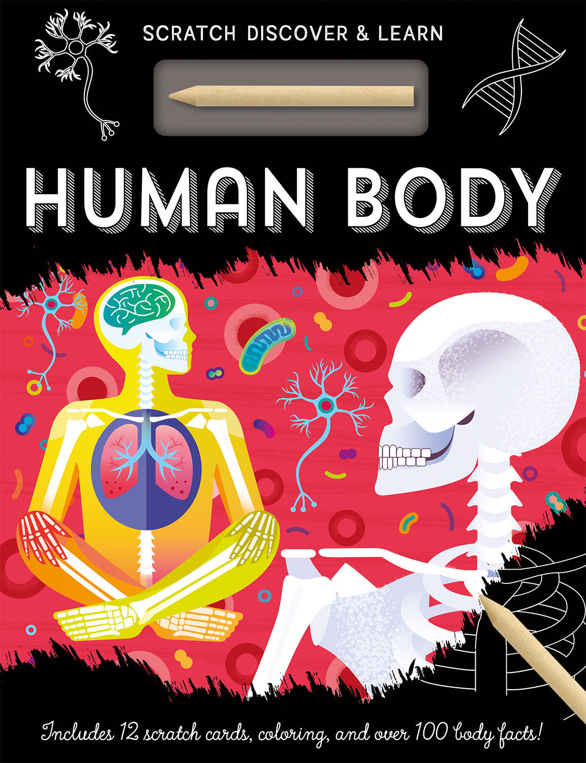 Human Body: Scratch, Discover & Learn