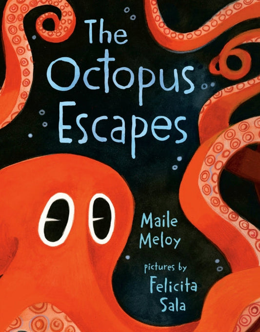 The Octopus Escapes | Board Book