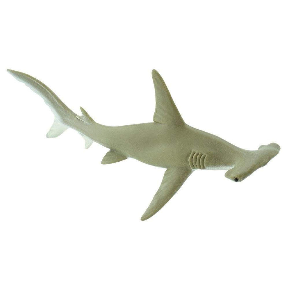 Hammerhead Shark Figurine | Safari Ltd.