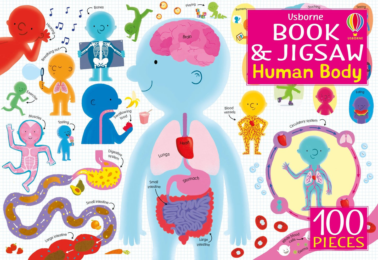 Book and Jigsaw: Human Body