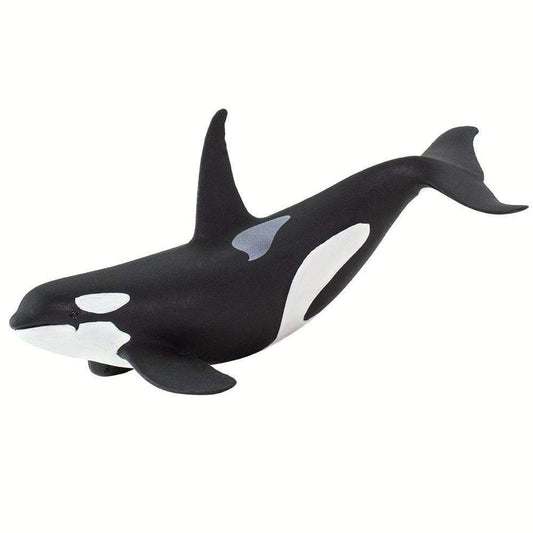 Orca Figurine | Safari Ltd.