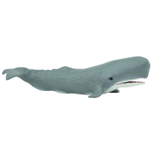 Sperm Whale Figurine | Safari Ltd.